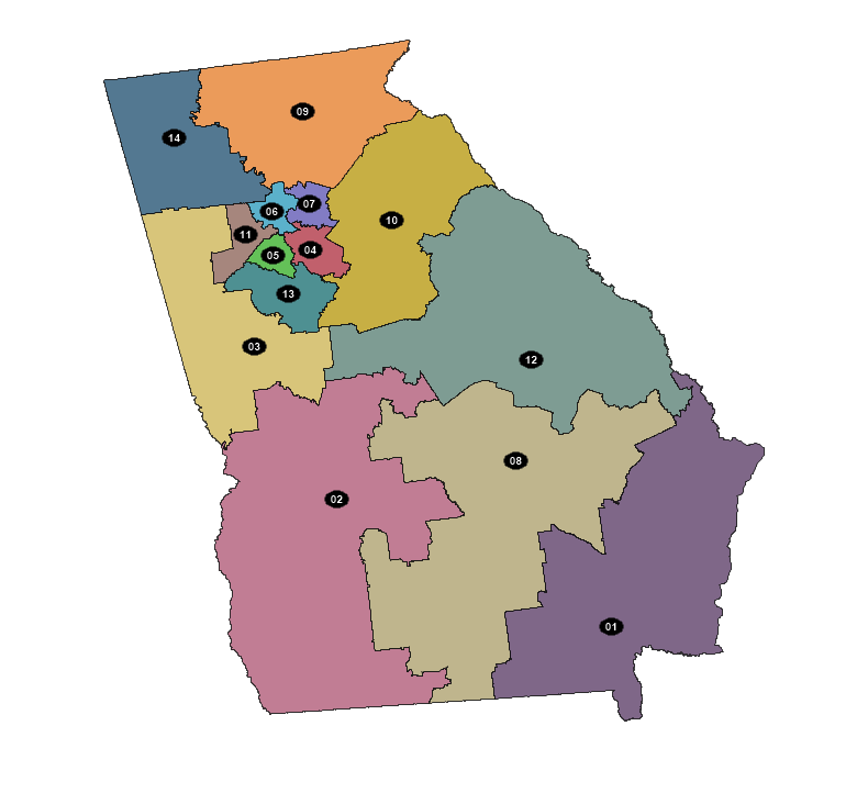 Picture of the districting plan