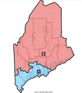 Picture of the districting plan