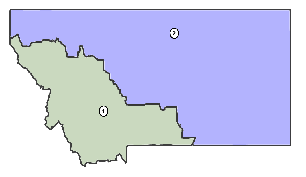 Picture of the districting plan