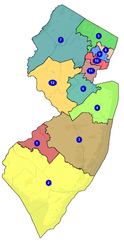 Picture of the districting plan