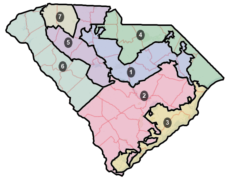 Picture of the districting plan