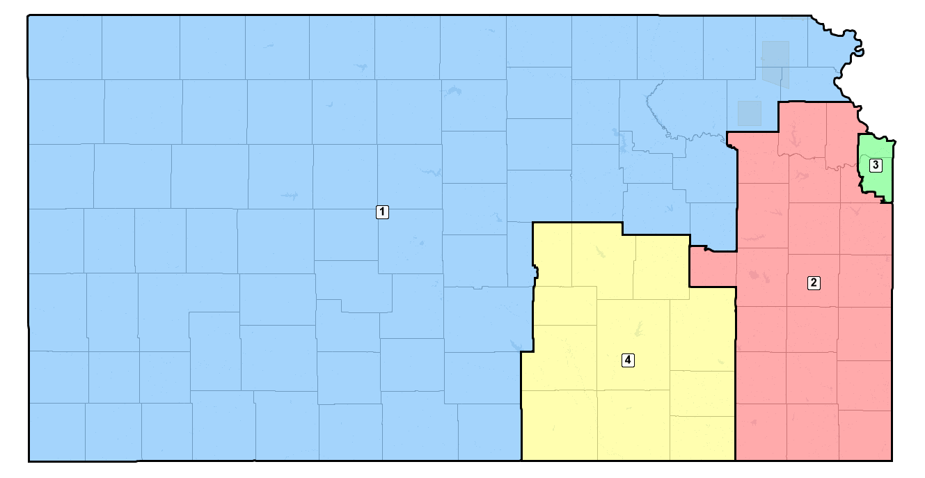 Picture of the districting plan